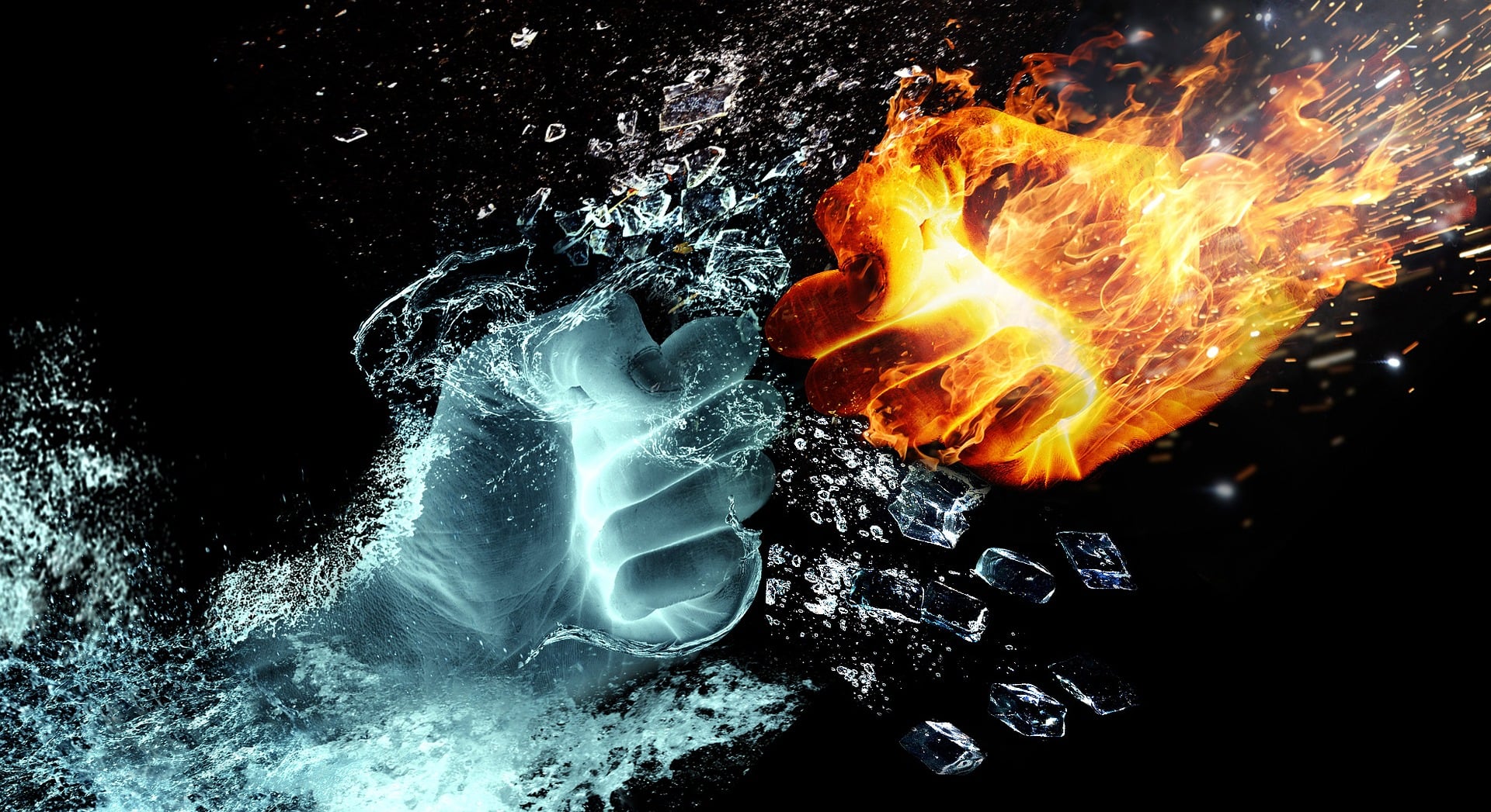 Sea slug underwater, marine creature with photosynthetic algae symbiosis