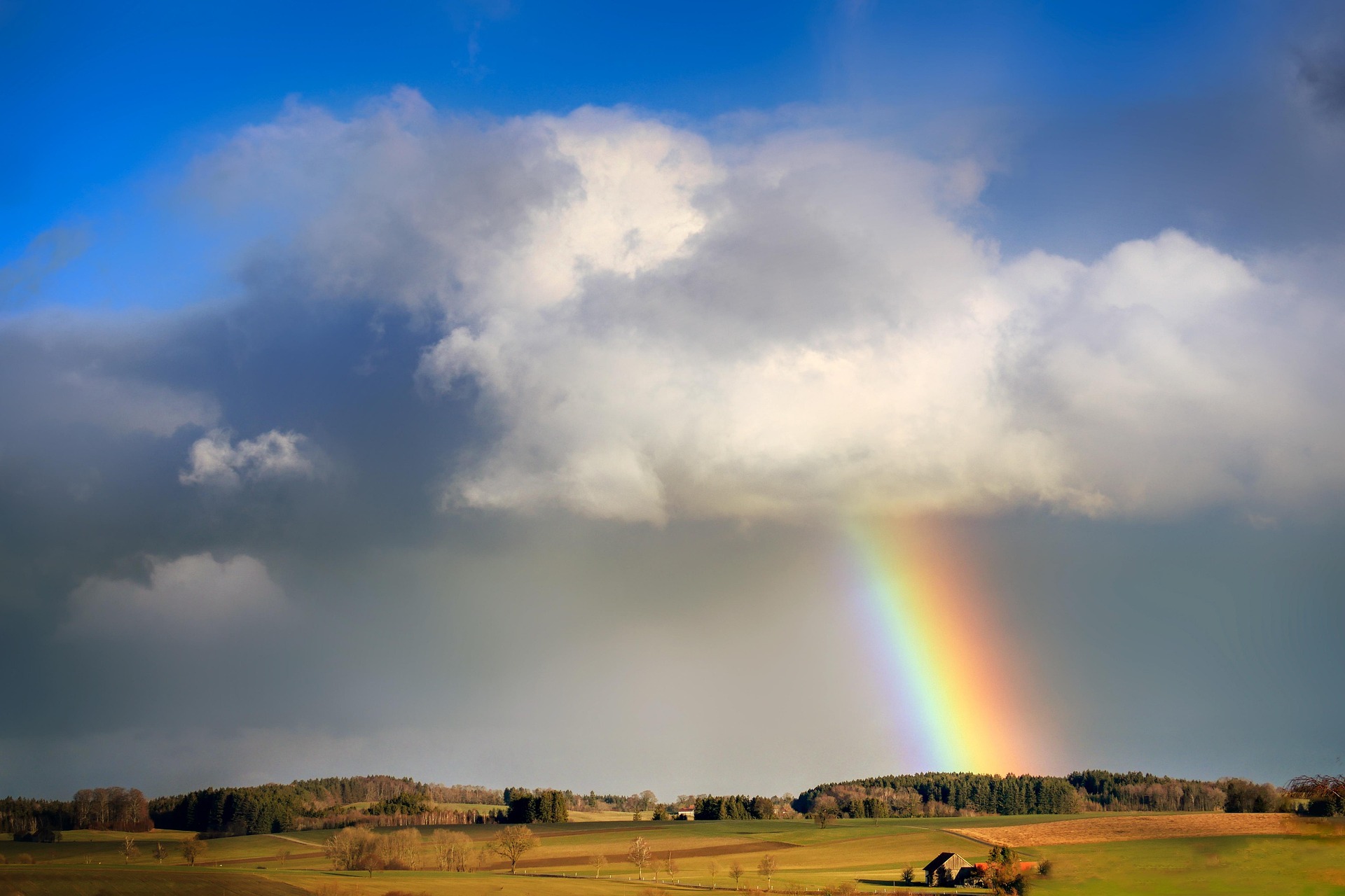 Bright rainbow arc over natural landscape after rainfall, optical phenomenon from sunlight